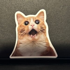 CAT STICKER